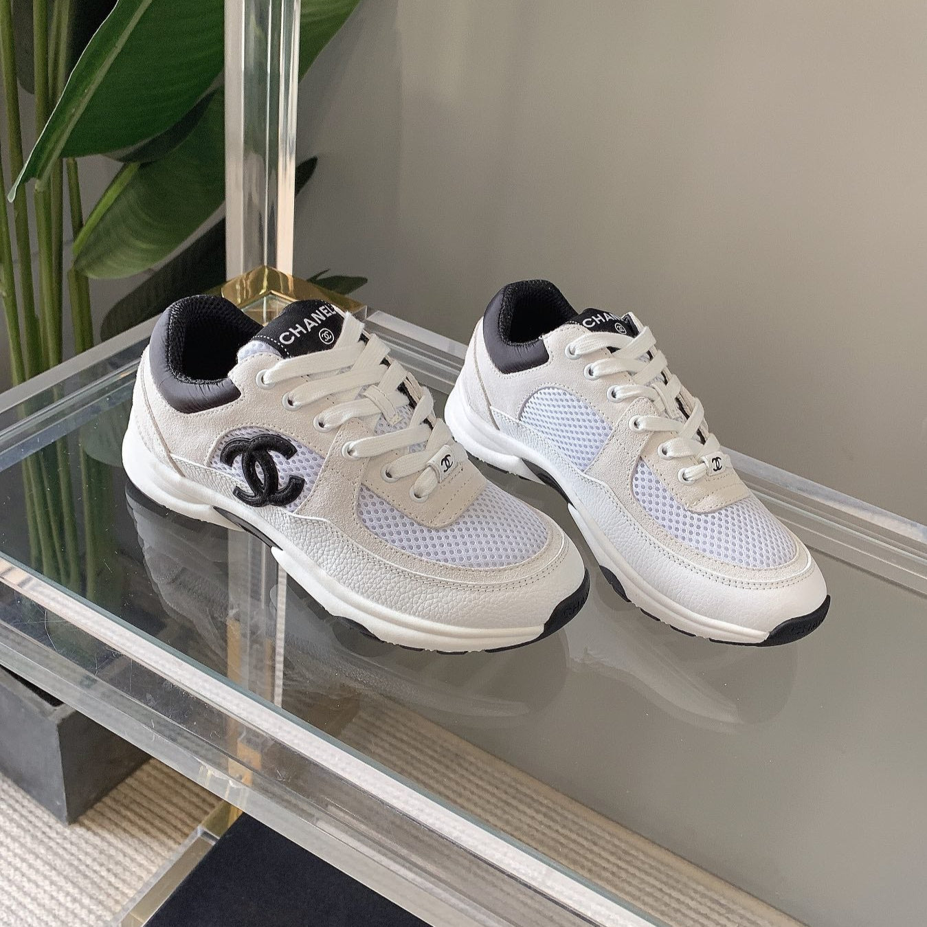 Dior Sneaker