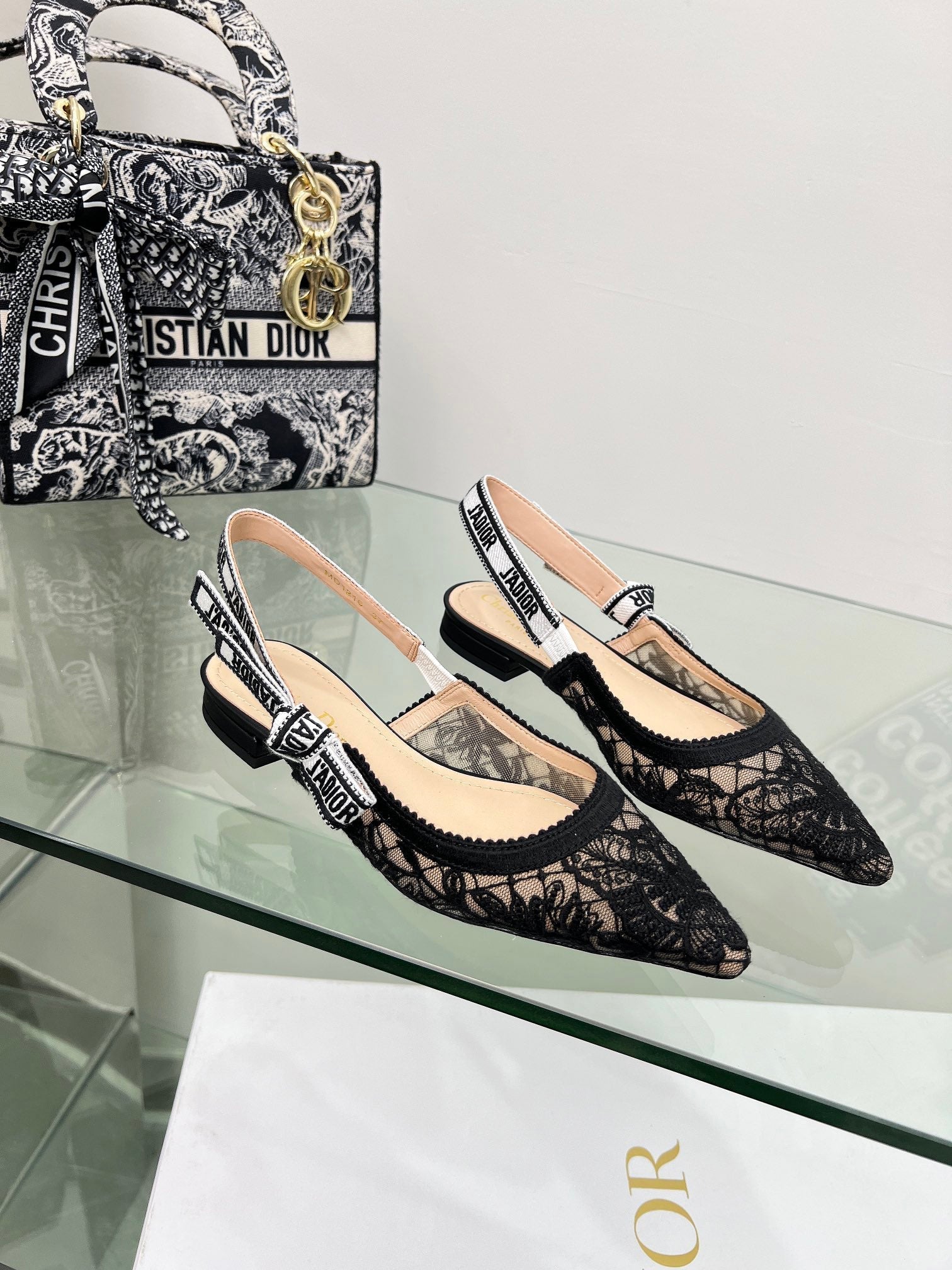 CD 25 Slingback Pump Black Transparent Mesh