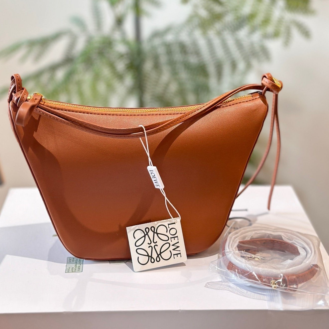 Loewe Hobo Bags