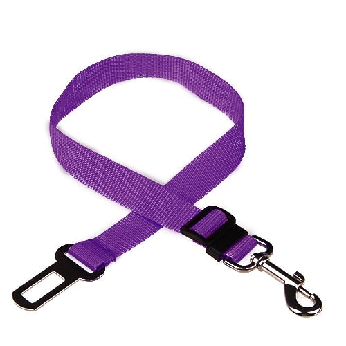 Ceinture de sécurité réglable pour animal de compagnie
