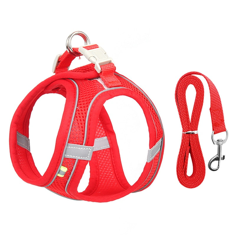 Ensemble Harnais + Laisse maille ultra respirante