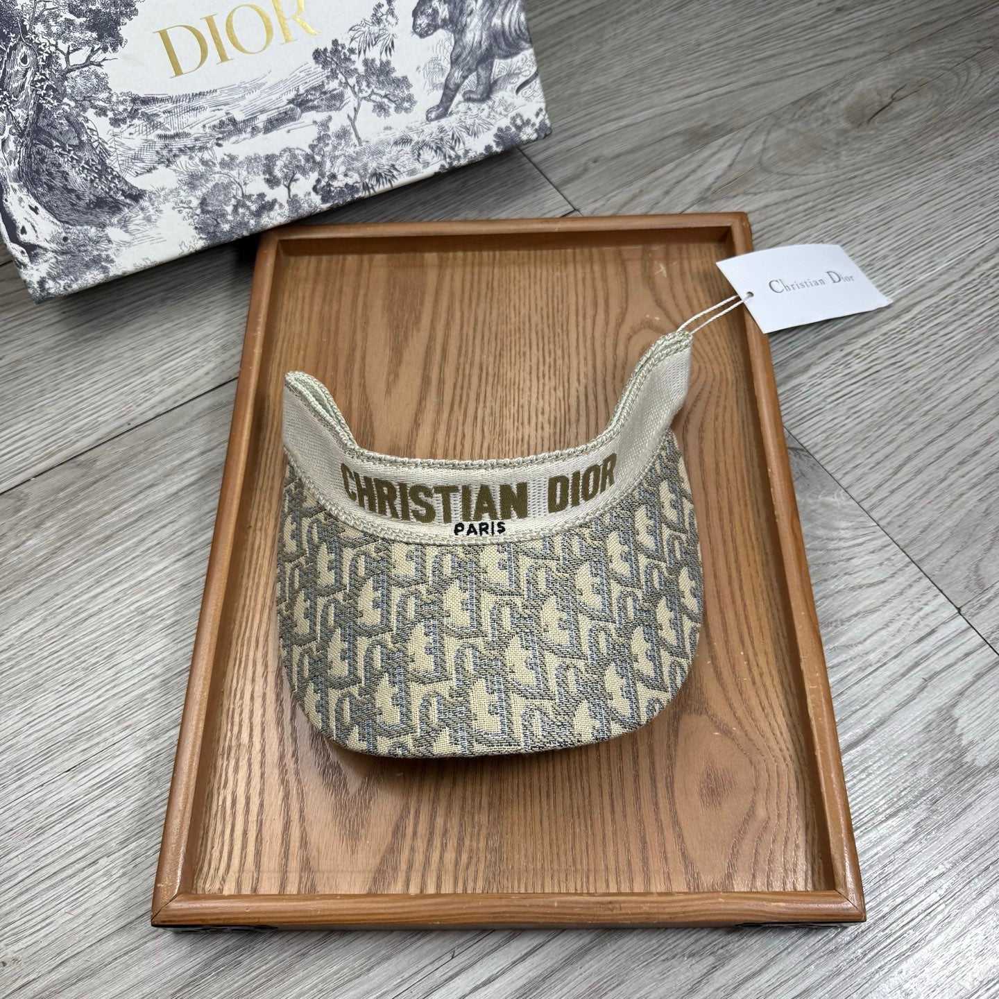 Dior Oblique D-Bobby Visor Cap 240593