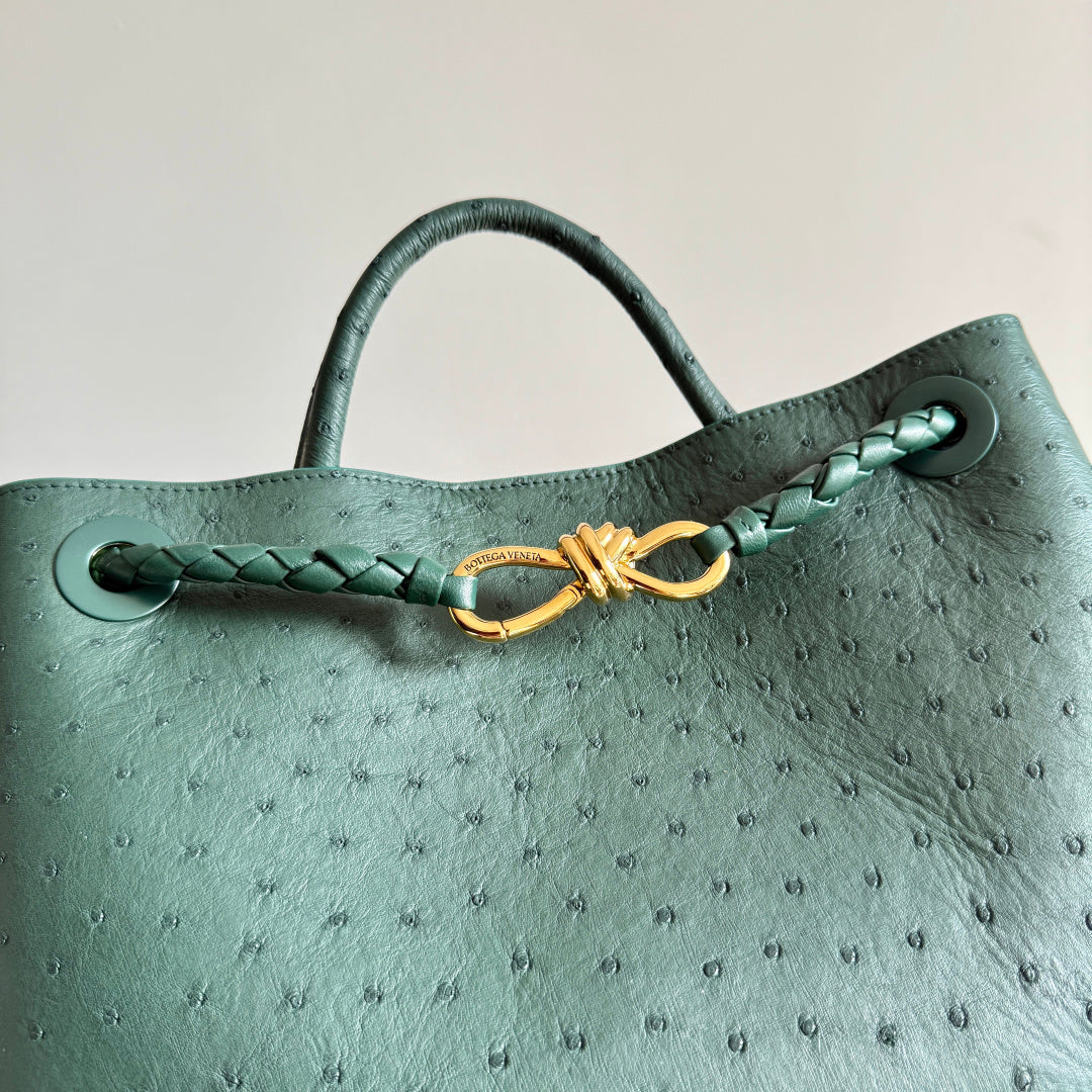 Bottega Veneta 2026 Andiamo Bag Dark Green Ostrich Leather