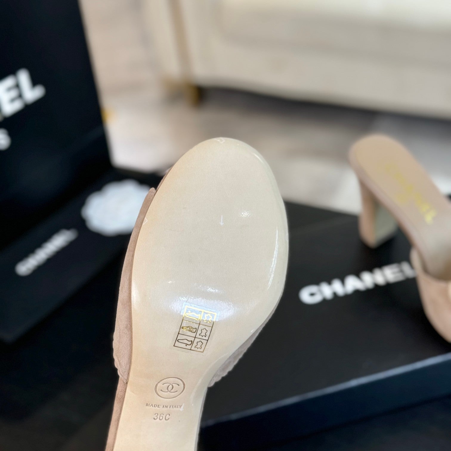 CC Mules 80mm Beige Suede