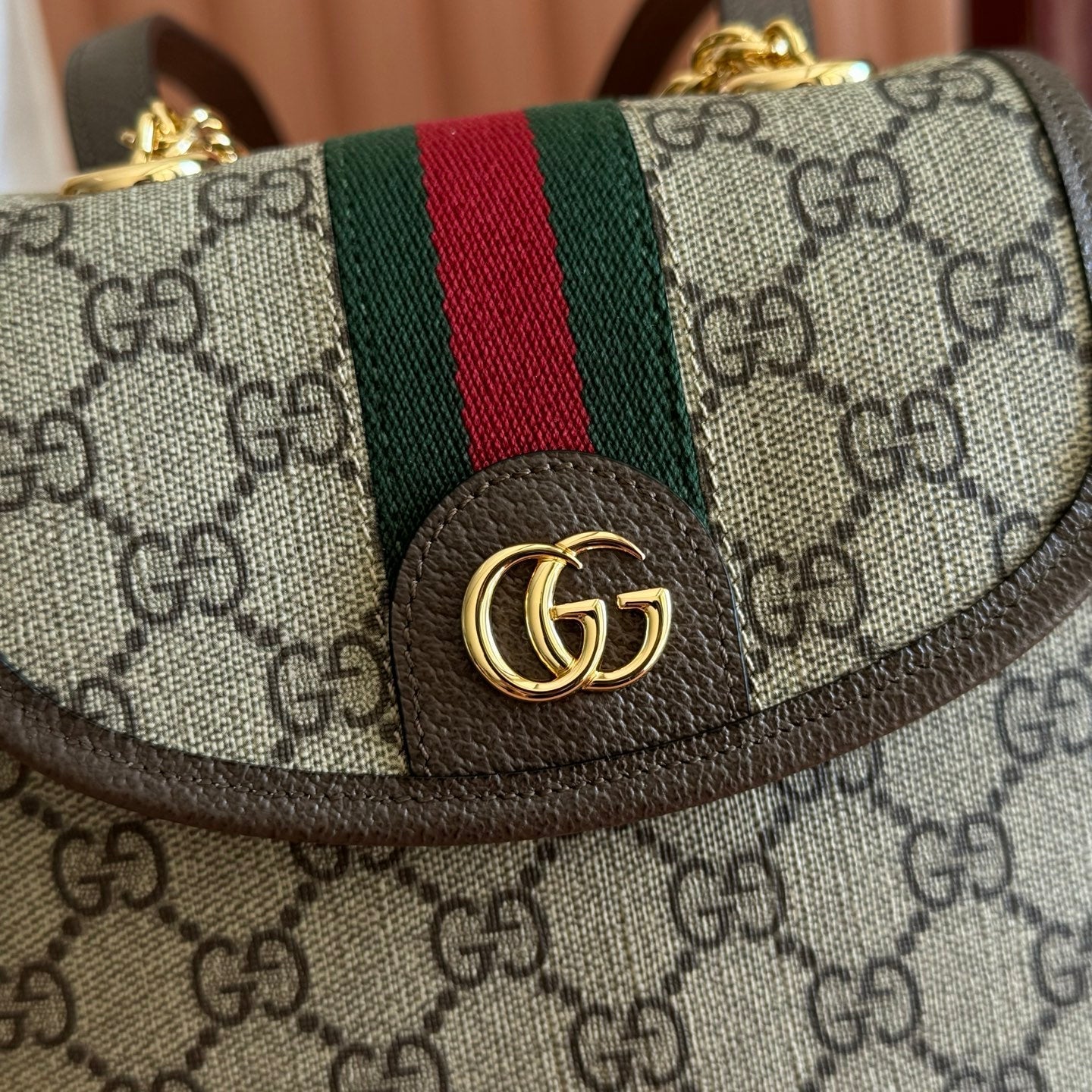 Gucci 2026 Ophidia Backpack 20.5cm Brown Ebony Canvas Leather 280939